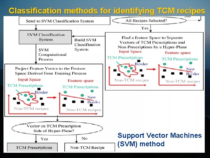 Classification methods for identifying TCM recipes Support Vector Machines (SVM) method 
