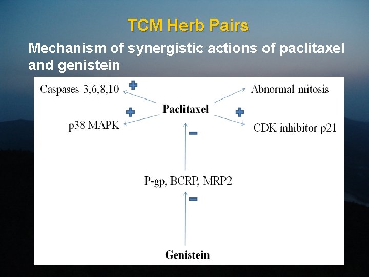 TCM Herb Pairs Mechanism of synergistic actions of paclitaxel and genistein 