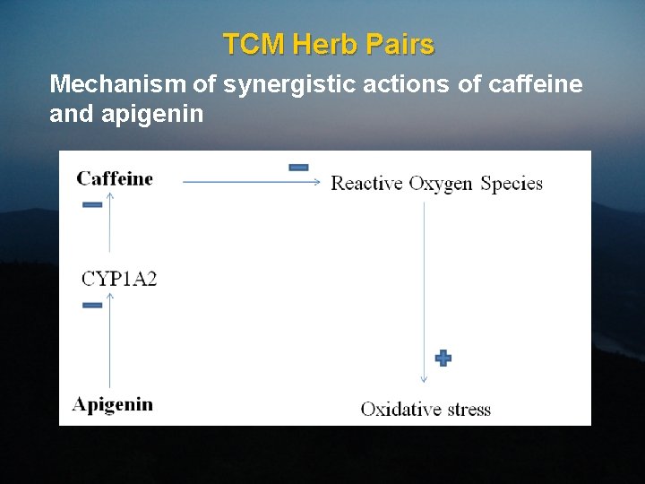 TCM Herb Pairs Mechanism of synergistic actions of caffeine and apigenin 