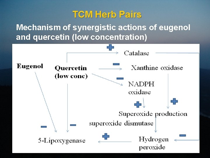 TCM Herb Pairs Mechanism of synergistic actions of eugenol and quercetin (low concentration) 