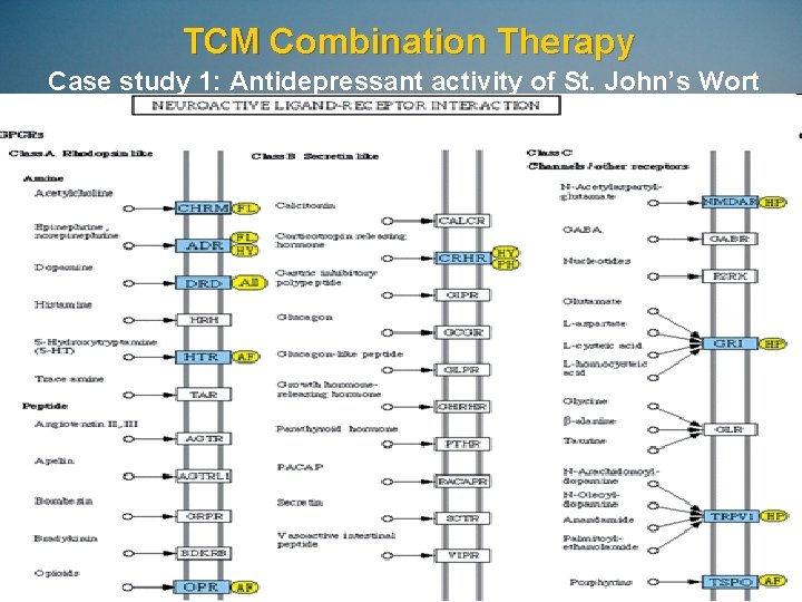 TCM Combination Therapy Case study 1: Antidepressant activity of St. John’s Wort 