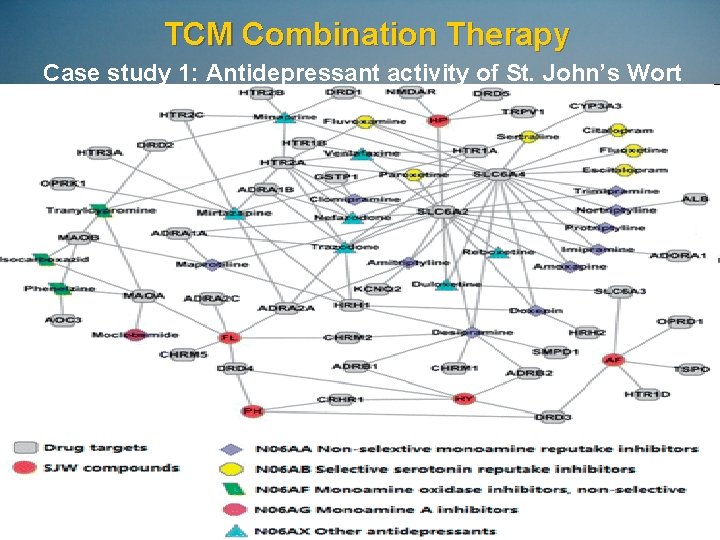 TCM Combination Therapy Case study 1: Antidepressant activity of St. John’s Wort 