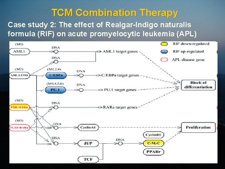 TCM Combination Therapy Case study 2: The effect of Realgar-Indigo naturalis formula (RIF) on