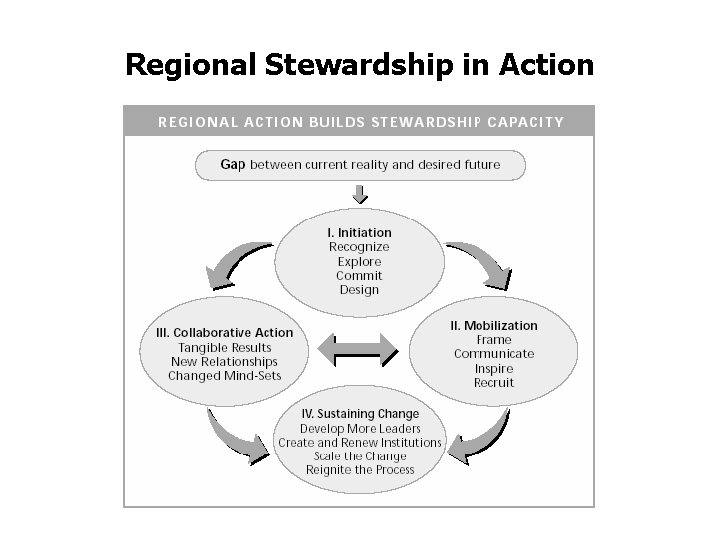 Regional Stewardship in Action 