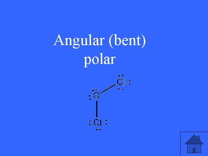 Angular (bent) polar 