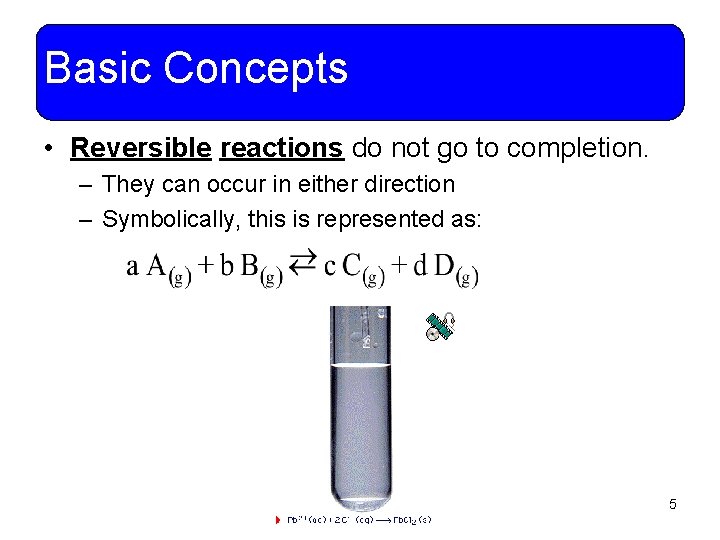 Basic Concepts • Reversible reactions do not go to completion. – They can occur