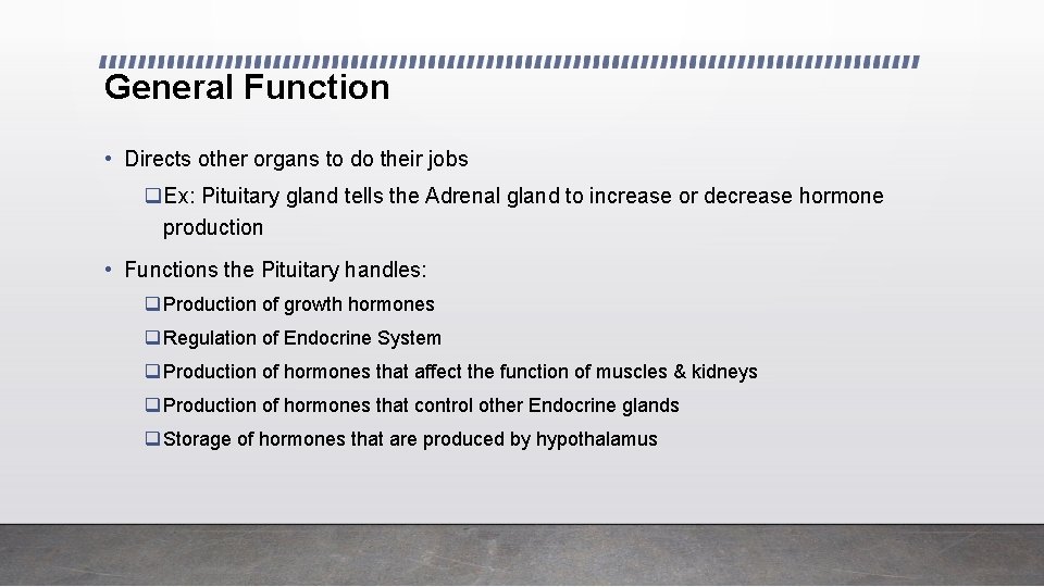 General Function • Directs other organs to do their jobs q. Ex: Pituitary gland