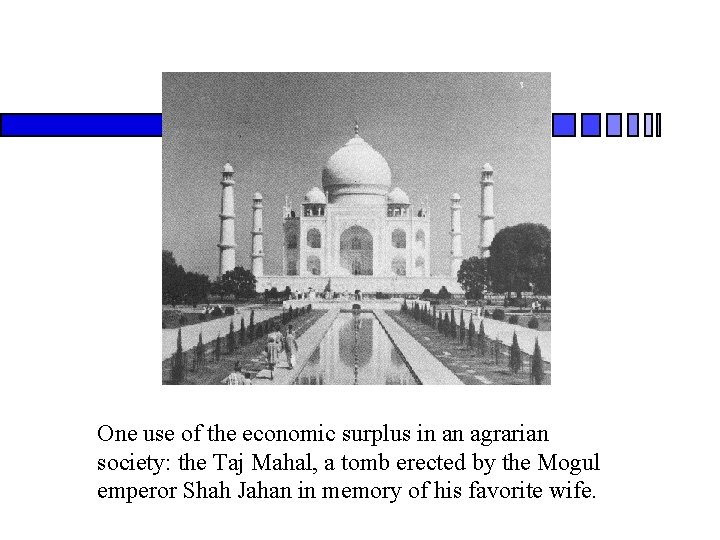 One use of the economic surplus in an agrarian society: the Taj Mahal, a