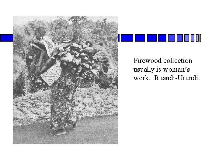Firewood collection usually is woman’s work. Ruandi-Urundi. 