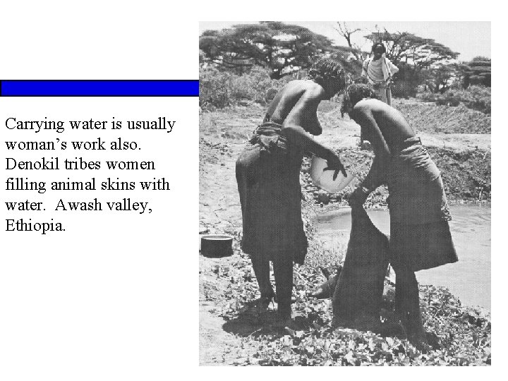 Carrying water is usually woman’s work also. Denokil tribes women filling animal skins with
