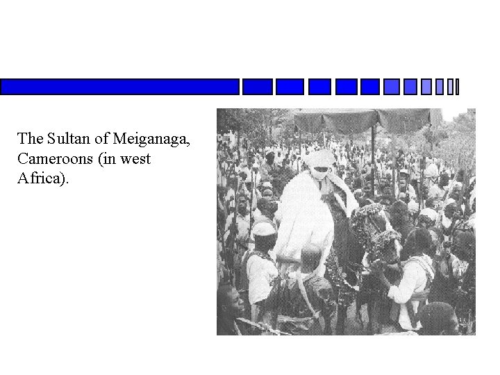 The Sultan of Meiganaga, Cameroons (in west Africa). 