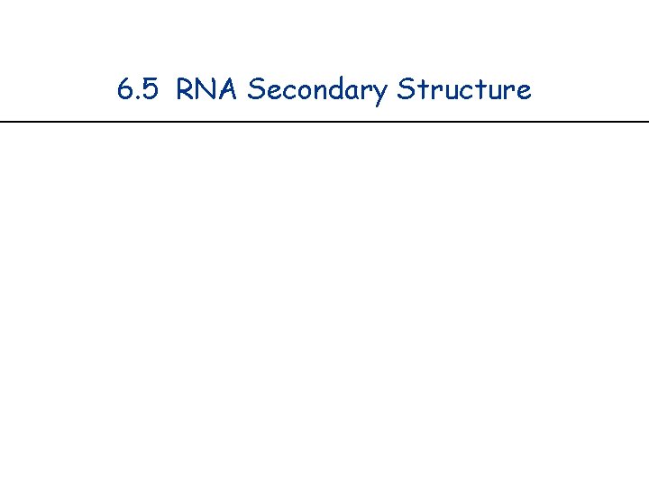 6. 5 RNA Secondary Structure 