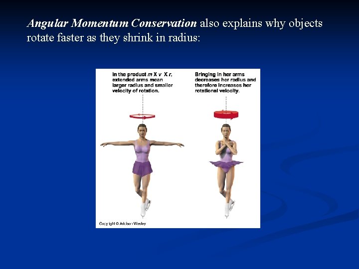 Angular Momentum Conservation also explains why objects rotate faster as they shrink in radius: