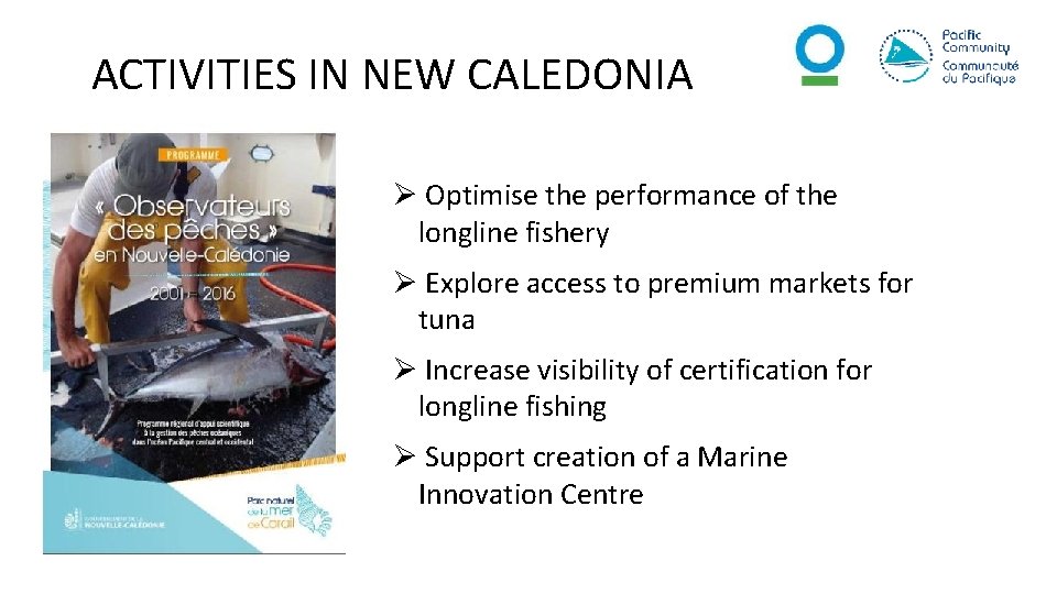 ACTIVITIES IN NEW CALEDONIA Ø Optimise the performance of the longline fishery Ø Explore