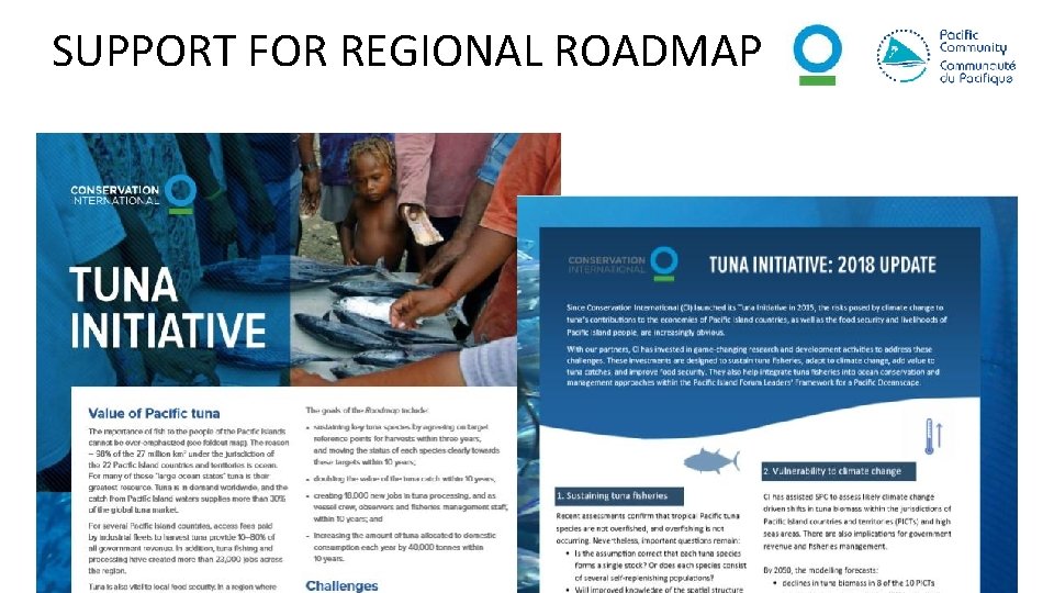 SUPPORT FOR REGIONAL ROADMAP 