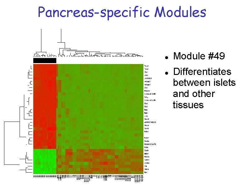 Pancreas-specific Modules Module #49 Differentiates between islets and other tissues Pancreas-specific Modules Module #49 Differentiates between islets and other tissues