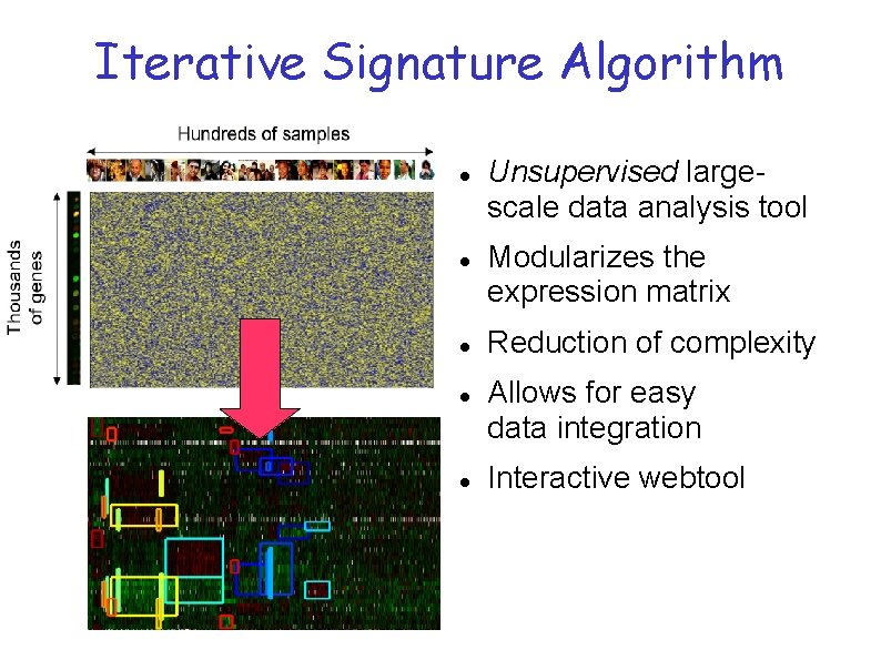 Iterative Signature Algorithm Unsupervised largescale data analysis tool Modularizes the expression matrix Reduction of Iterative Signature Algorithm Unsupervised largescale data analysis tool Modularizes the expression matrix Reduction of