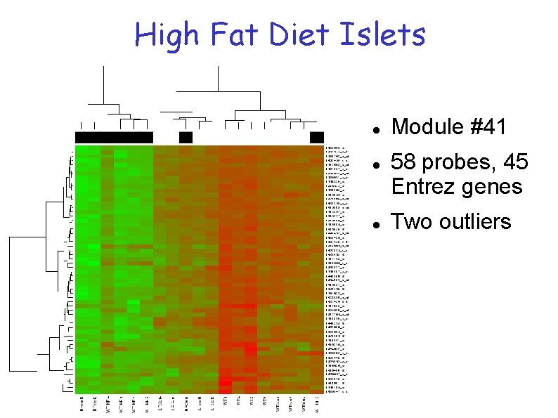High Fat Diet Islets Module #41 58 probes, 45 Entrez genes Two outliers High Fat Diet Islets Module #41 58 probes, 45 Entrez genes Two outliers