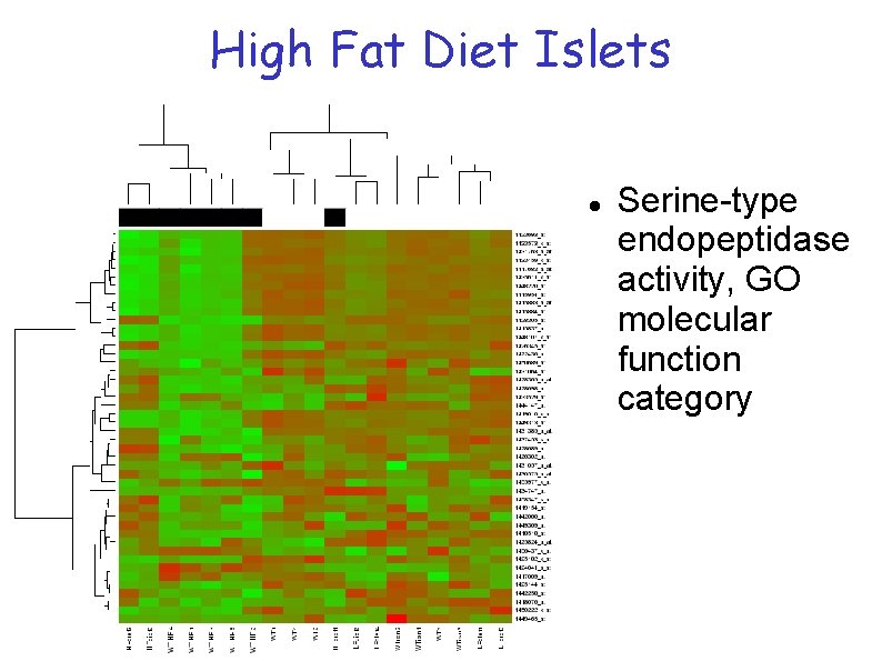 High Fat Diet Islets Serine-type endopeptidase activity, GO molecular function category High Fat Diet Islets Serine-type endopeptidase activity, GO molecular function category