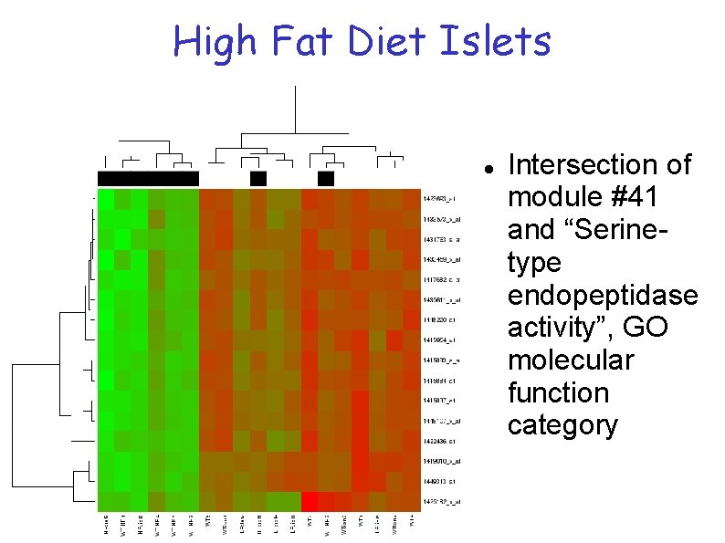 High Fat Diet Islets Intersection of module #41 and “Serinetype endopeptidase activity”, GO molecular High Fat Diet Islets Intersection of module #41 and “Serinetype endopeptidase activity”, GO molecular
