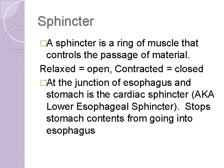 Sphincter �A sphincter is a ring of muscle that controls the passage of material.