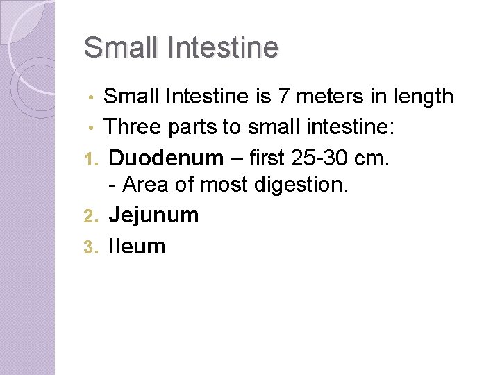 Small Intestine is 7 meters in length • Three parts to small intestine: 1.