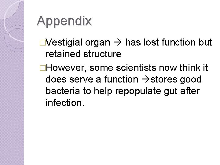 Appendix �Vestigial organ has lost function but retained structure �However, some scientists now think