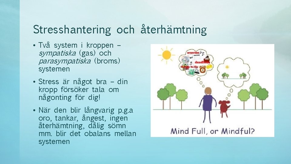 Stresshantering och återhämtning • Två system i kroppen – sympatiska (gas) och parasympatiska (broms)