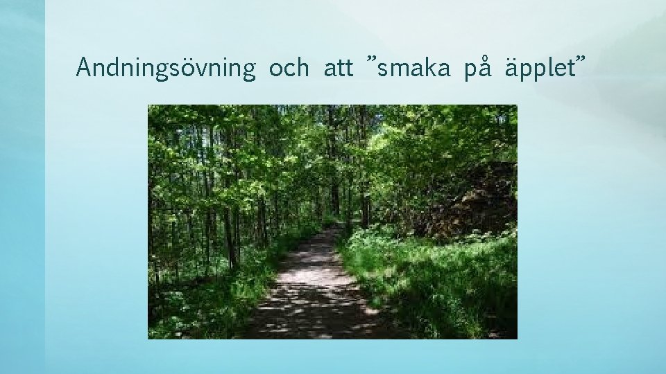 Andningsövning och att ”smaka på äpplet” 