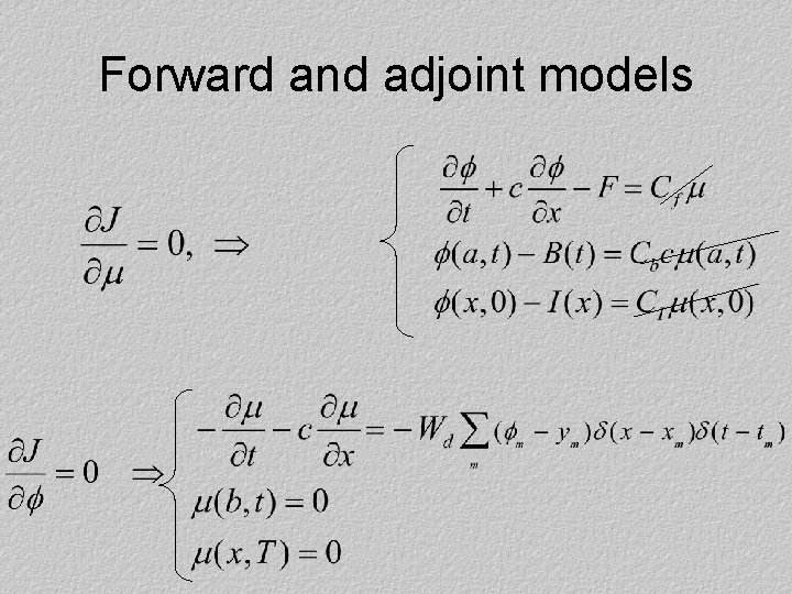 Forward and adjoint models 