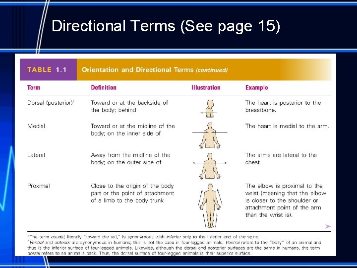 Directional Terms (See page 15) 