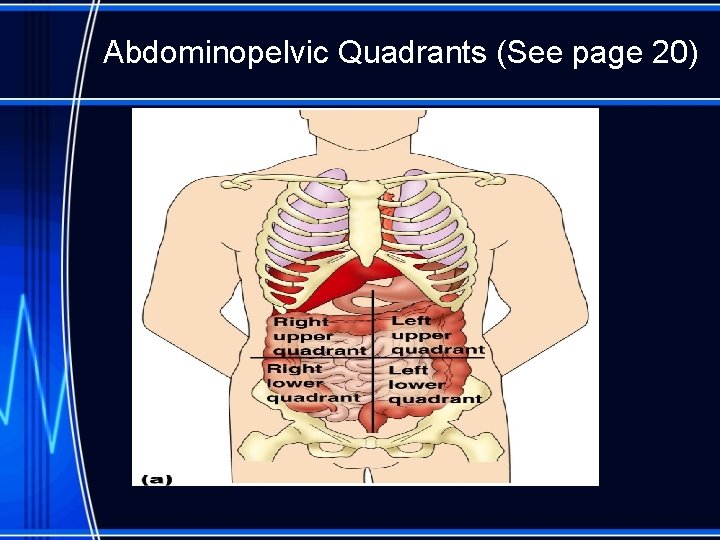 Abdominopelvic Quadrants (See page 20) 