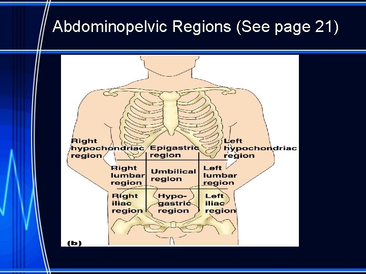 Abdominopelvic Regions (See page 21) 