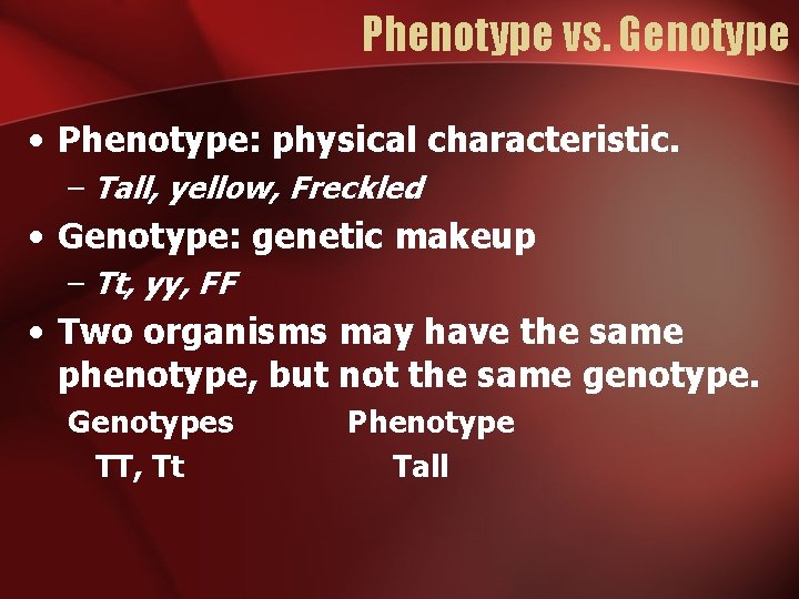 Phenotype vs. Genotype • Phenotype: physical characteristic. – Tall, yellow, Freckled • Genotype: genetic