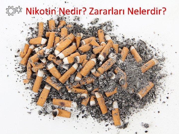 Nikotin Nedir? Zararları Nelerdir? 