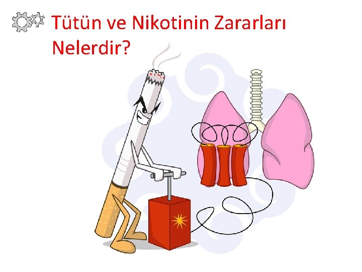 Tütün ve Nikotinin Zararları Nelerdir? 