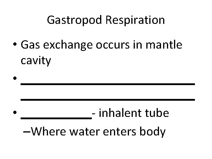 Gastropod Respiration • Gas exchange occurs in mantle cavity • ___________________________ • ______- inhalent