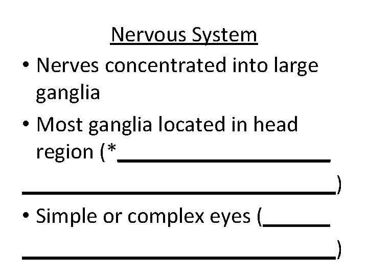 Nervous System • Nerves concentrated into large ganglia • Most ganglia located in head