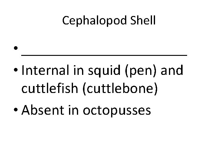 Cephalopod Shell • ___________ • Internal in squid (pen) and cuttlefish (cuttlebone) • Absent