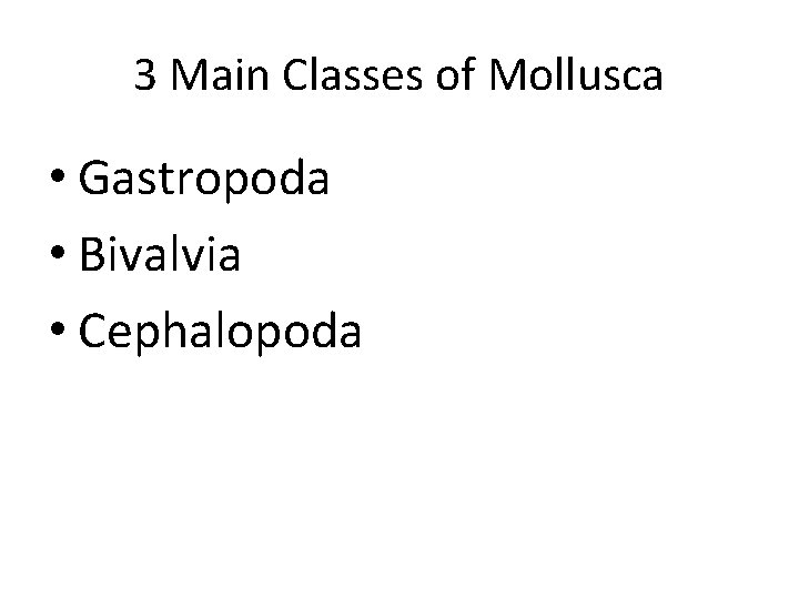 3 Main Classes of Mollusca • Gastropoda • Bivalvia • Cephalopoda 