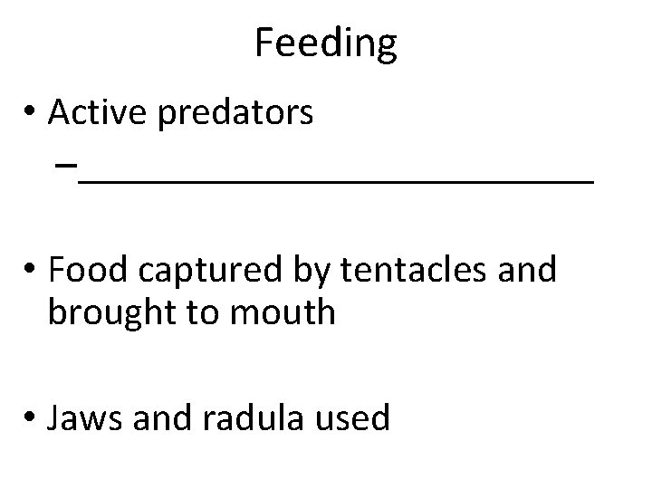 Feeding • Active predators –_____________ • Food captured by tentacles and brought to mouth