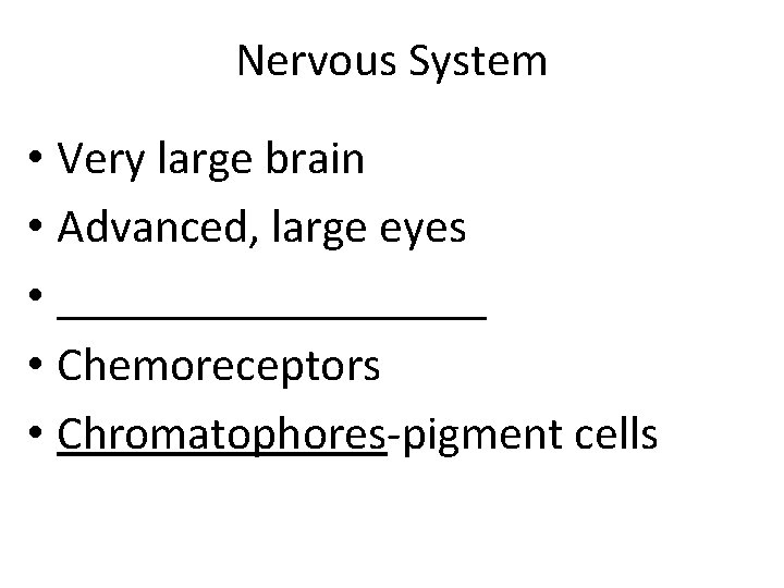 Nervous System • Very large brain • Advanced, large eyes • _________ • Chemoreceptors