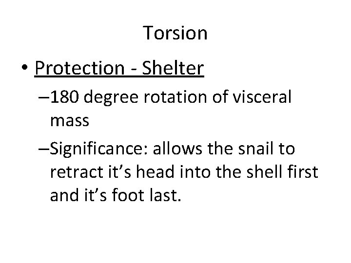 Torsion • Protection - Shelter – 180 degree rotation of visceral mass –Significance: allows