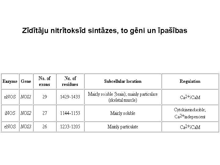 Zīdītāju nitrītoksīd sintāzes, to gēni un īpašības 