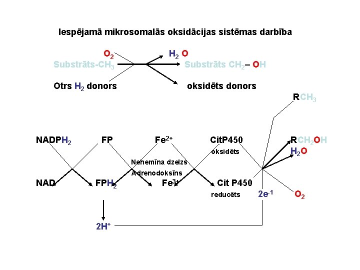 Iespējamā mikrosomalās oksidācijas sistēmas darbība O 2 Substrāts-CH 3 H 2 O Substrāts CH