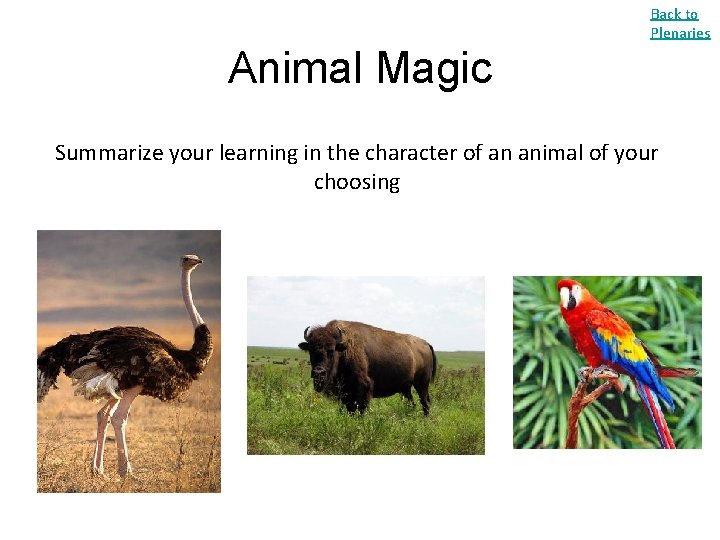 Back to Plenaries Animal Magic Summarize your learning in the character of an animal