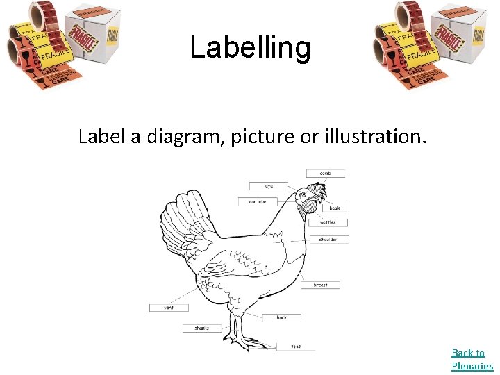 Labelling Label a diagram, picture or illustration. Back to Plenaries 