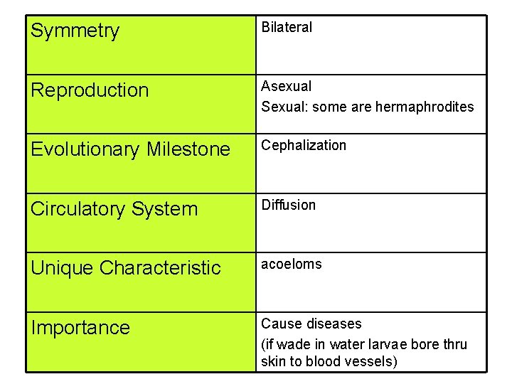 Symmetry Bilateral Reproduction Asexual Sexual: some are hermaphrodites Evolutionary Milestone Cephalization Circulatory System Diffusion