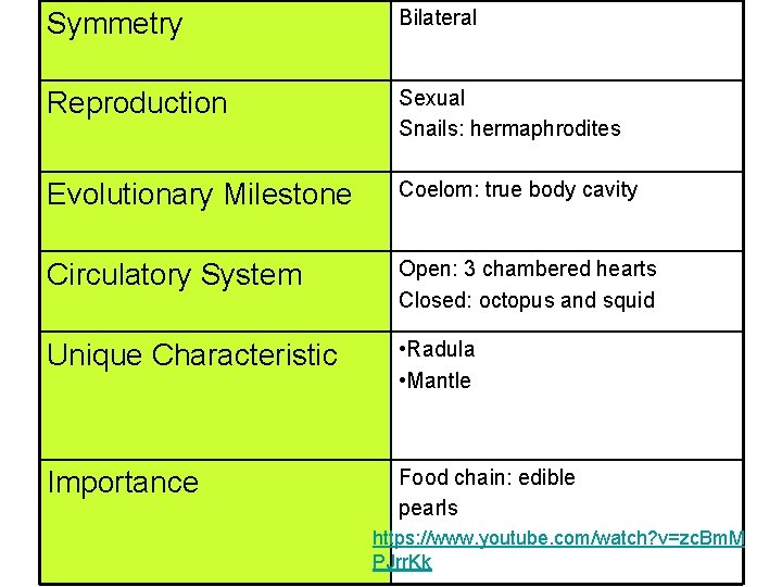 Symmetry Bilateral Reproduction Sexual Snails: hermaphrodites Evolutionary Milestone Coelom: true body cavity Circulatory System