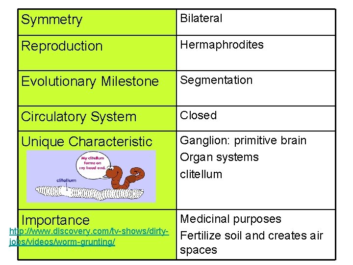 Symmetry Bilateral Reproduction Hermaphrodites Evolutionary Milestone Segmentation Circulatory System Closed Unique Characteristic Ganglion: primitive